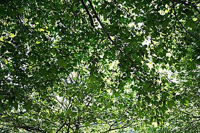 《神力科莎出赛准备: 竞争》全新GT2 DLC及 Grand Tourer 组合包将于2月28日推出