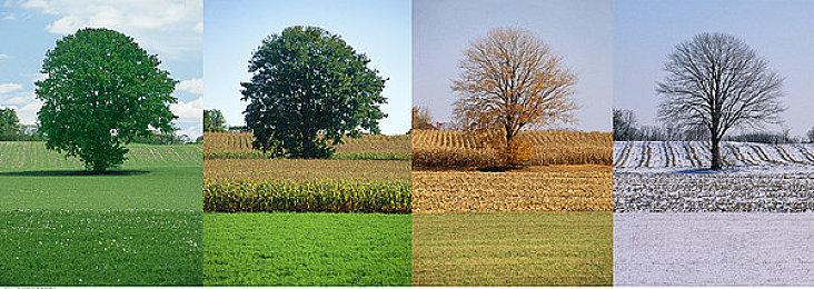 《银河文明4》将于4月26日正式发售 暂不支持中文