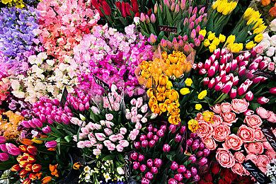 腾讯《暗区突围：无限》上线 RTX2060显卡爽玩